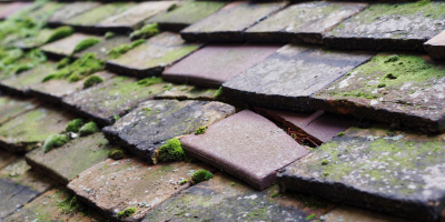 Cold Brayfield roof repair costs